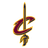 Cleveland Cavaliers